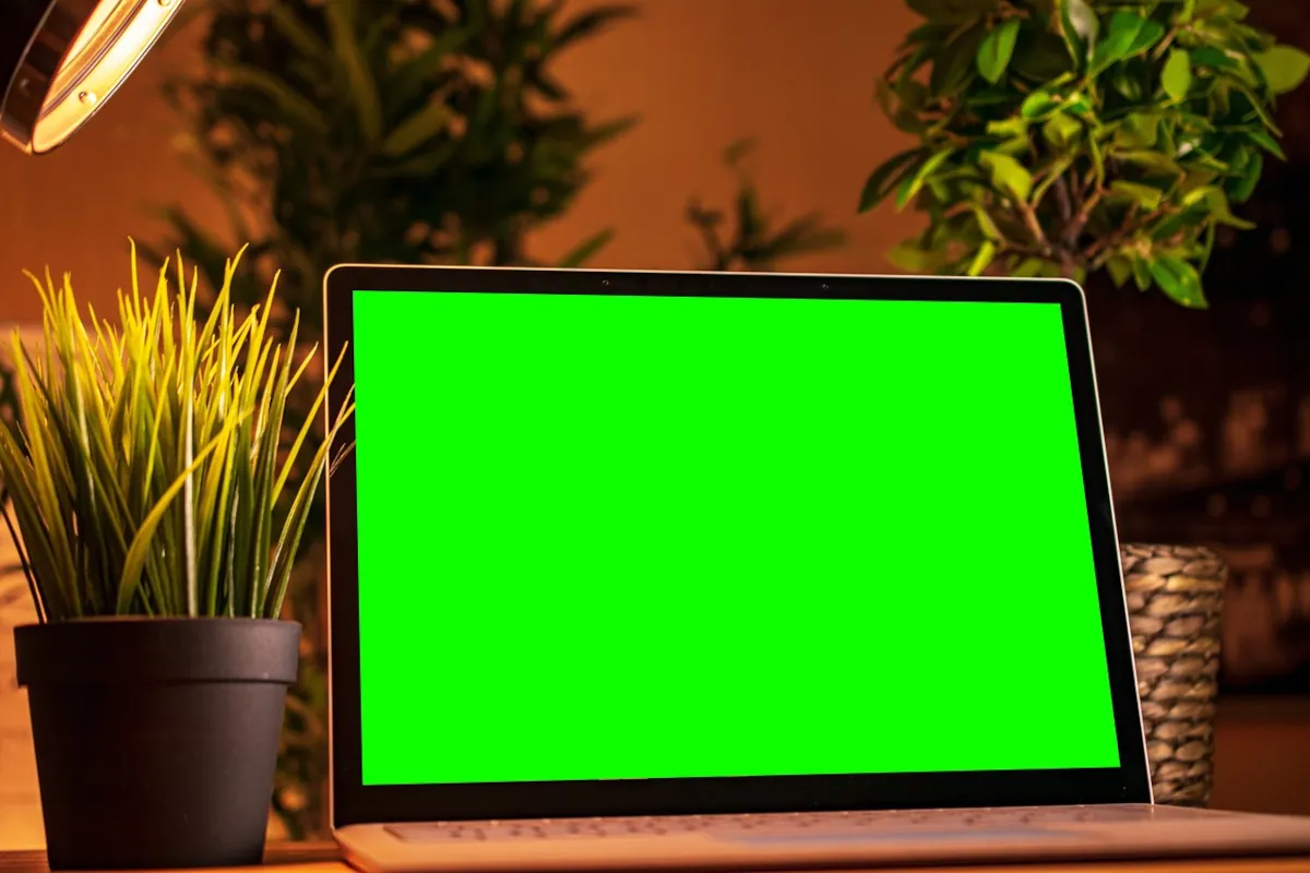 OLED ekranas kaip apšvietimo šaltinis: Plokščiųjų ekranų apšvietimo ateitis