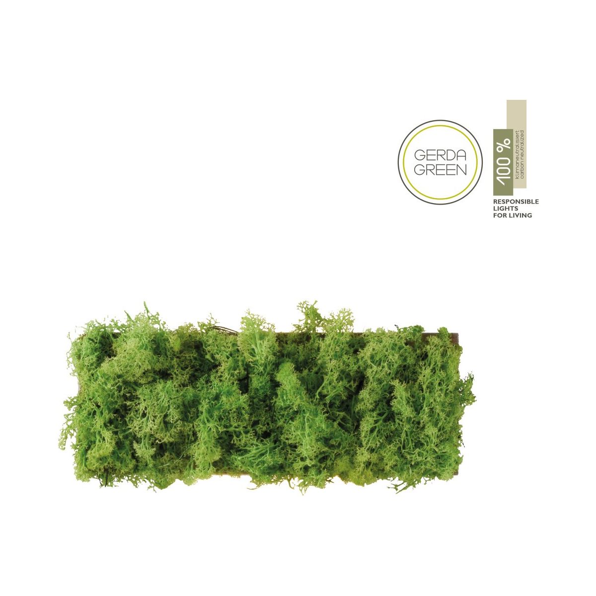 Paul Neuhaus-GREEN CARL-15637-66-PLN15637-66