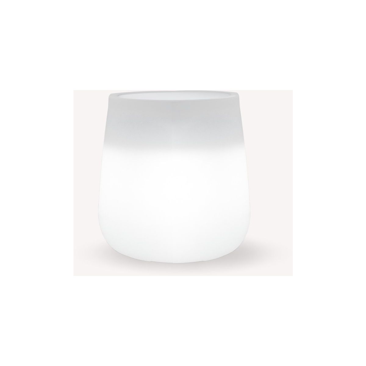 New Garden-CAMELIA-3288-NGR3288