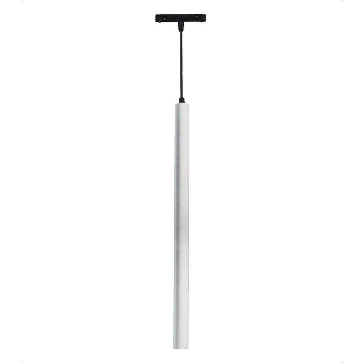 Zambelis-MAGNETIC-2081-W-ZAM2081-W