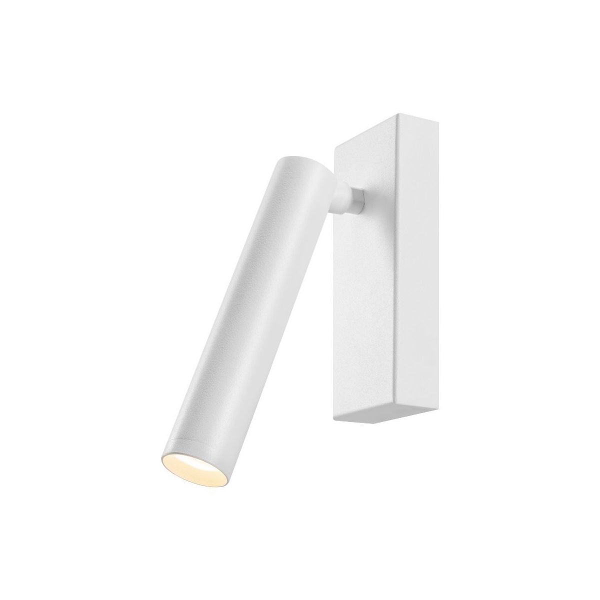 Kaspa-ROLL-50910101-KAS50910101
