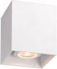 Lucide-BODI-09101/01/31-LCI09101/01/31