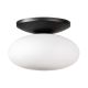 Zuma Line-OMI-1184-ZUM1184