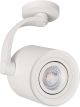 AZzardo-BROSS ARM-AZ3498-AZZAZ3498