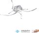 Paul Neuhaus-POLINA-9144-55-PLN9144-55