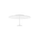 Nova Luce-COLCHANI-LE44667-LUCLE44667
