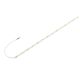 SLV-GRAZIA-1008517-SPL1008517