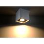 Sollux QUAD SL.0024 Lubų šviestuvas 1x40W/GU10