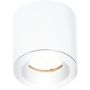 Maxlight FORM C0215 Lubų šviestuvas 1x50w/gu10 ip65