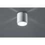 Sollux INEZ SL.0355 Lubų šviestuvas 1x40W/G9