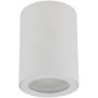 TK Lighting LIGNO 10932 Lubų šviestuvas 1x10W/GU10 IP44