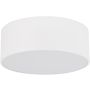 TK Lighting LIVO 10983 Lubų šviestuvas 2x15W/E27 IP54