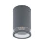 Nowodvorski ROCK PRO 10687 Lubų šviestuvas 1x25W/e27 IP44