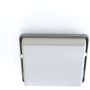 Nowodvorski TAHOE II 3240 Lubų šviestuvas 2x15W/LED IP44
