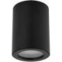 TK Lighting LIGNO 10933 Lubų šviestuvas 1x10W/GU10 IP44