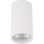 TK Lighting TUNE 10023 Lubų šviestuvas 1x10W/GU10 IP20