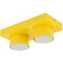 TK Lighting BRIX 11289 Stropo šviestuvas 2x11W/gx53 IP20