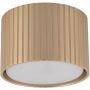 TK Lighting FERRO 11657 Lubų šviestuvas 1x8W/gx53 3000K 560lm IP20