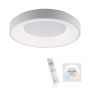 Paul Neuhaus ANIKA 14326-16 Lubų šviestuvas 1x26,5W/LED CCT 2700K-5000K 1900LM IP20