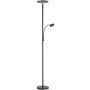 Paul Neuhaus HANS 11709-18 Stovinė lempa 2x31,5W/LED 3000k 2500/400lm ip20
