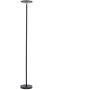 Paul Neuhaus HANS 11729-18 Stovinė lempa 1x27W/LED 3000k 2500lm ip20