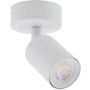TK Lighting NEX 11368 Taškinis šviestuvas 1x10W/GU10 IP20