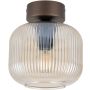 TK Lighting SALVIA 11358 Stropo šviestuvas