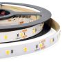 Zambelis LED STRIP LS32 LED juostelė 4000K IP20