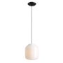 Aldex FLASK ORCHID L 8500G1_L Pakabinama lempa 1x15W/E27