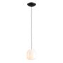 Aldex FLASK ORCHID S 8500G1_S Pakabinama lempa 1x10W/E14