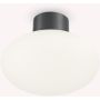 Ideal Lux CLIO 148861 Stropo šviestuvas 1x42W/E27 ip44