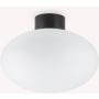 Ideal Lux CLIO 148878 Stropo šviestuvas 1x42W/E27 ip44