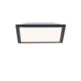 Paul Neuhaus FLAT 14740-18 LED panelis 1x6W/LED 3000K 485LM IP20