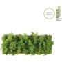 Paul Neuhaus GREEN CARL 15637-66 Sienos lempa 6x6,5W/LED 3000k 780lm ip20