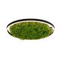 Paul Neuhaus GREEN RITUS 15392-66 Stropo šviestuvas 1x28W/LED 3000k 960lm ip20