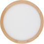 TK Lighting AQUA WOOD 18011 Lubų šviestuvas 1x36W/LED 3000K, 4000K, 6500K 4080lm IP54
