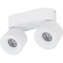 TK Lighting SPARK 18171 Taškinis šviestuvas 2x10W/LED 3000/4000/6000 K 965lm IP20