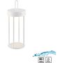 Paul Neuhaus ANSELM 19300-16 Stalo lempa 1x1,5W/LED 2700k 130lm ip44
