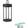 Paul Neuhaus ANSELM 19300-18 Stalo lempa 1x1,5W/LED 2700k 130lm ip44