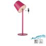 Paul Neuhaus BOTERIA 19251-87 Stalo lempa 1x2,5W/LED 3000k 220lm ip54