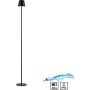 Paul Neuhaus EURIA 19252-18 Stovinė lempa 1x2,5W/LED 3000k 320lm ip54