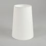 Astro Lighting CONE 5018001 Lemputės gaubtas