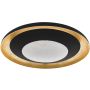 Eglo CANICOSA 2 98527 Lubų šviestuvas 1x24,5W/LED 2700K-6500K 3000LM