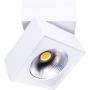Maxlight ARTU C0106 Lubų šviestuvas 1x15w/led 3000k 1000lm ip20