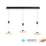Paul Neuhaus LAUTADA 2081-18 Pakabinama lempa 3x7,5W/LED 3000K 1800LM IP20