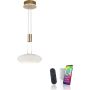 Paul Neuhaus Q-ETIENNE 2075-60 Pakabinama lempa 2x38,5W/LED 2700-5000k 4350lm ip20