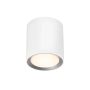 Nordlux LANDON 2110670101 Lubų šviestuvas 1x6,5W/LED IP44
