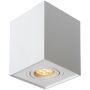 Lucide Tube 22953/01/31 Lubų šviestuvas 1x50w/gu10 ip20
