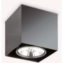 Ideal Lux MOOD 243931 Lubų šviestuvas 1x50W/GU10 ip20
