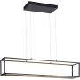 Paul Neuhaus CONNI 2441-18 Pakabinama lempa 4x42W/LED 3000k 3840lm ip20